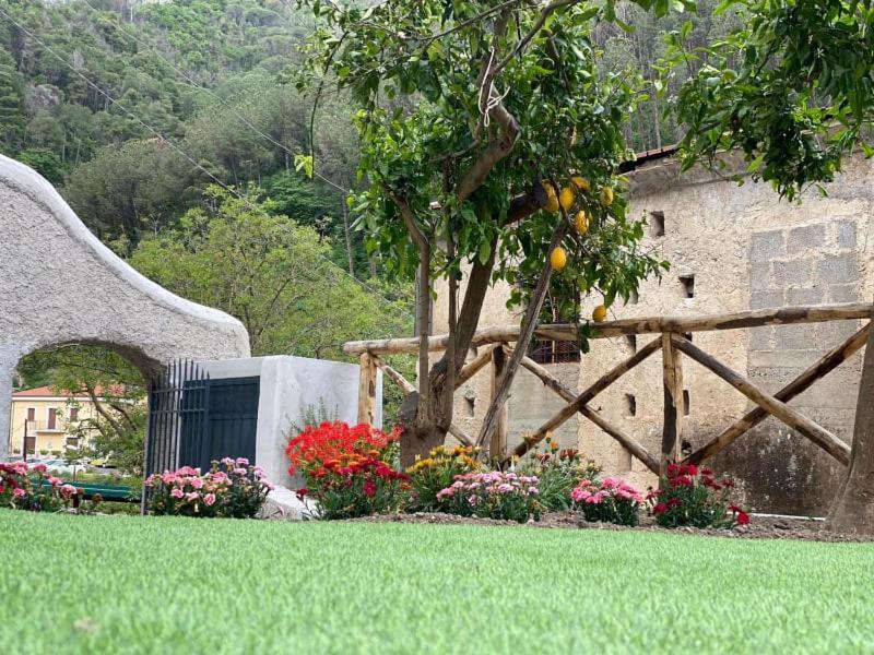 Holiday House Ruocco Maiori Exterior photo